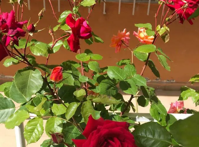 Apartment Luxury Duplex Armand Durres *